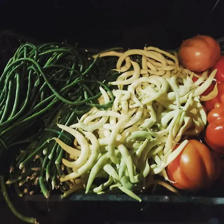 Alojamento de Acomodação e Pequeno-almoço Marinsky , Lucca *