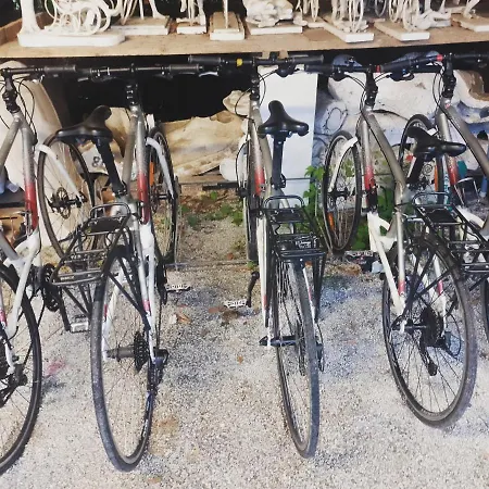 Marinsky , Lucca ピエトラサンタ