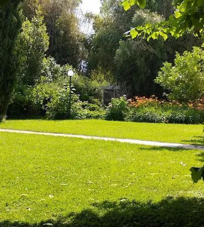 Marinsky , Lucca