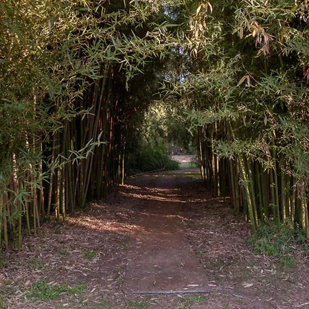 Marinsky , Lucca ベッド・アンド・ブレックファスト ピエトラサンタ